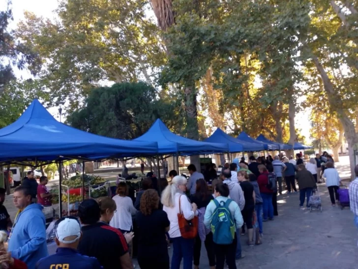 Desamparados es la próxima parada del camión de frutas y verduras Desamparados es la próxima parada del camión de frutas y verduras
