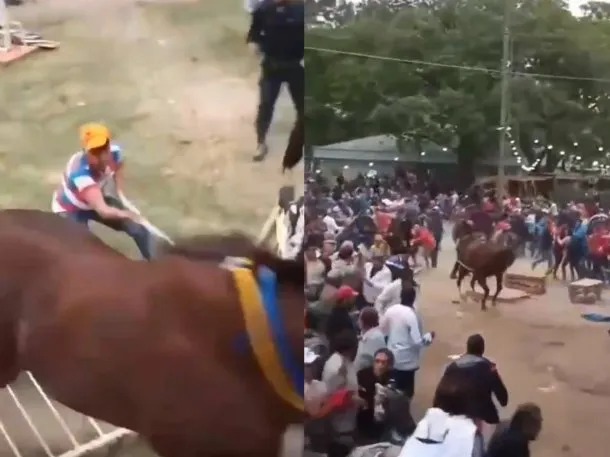 [VIDEO] Pánico en un hipódromo por un caballo descontrolado