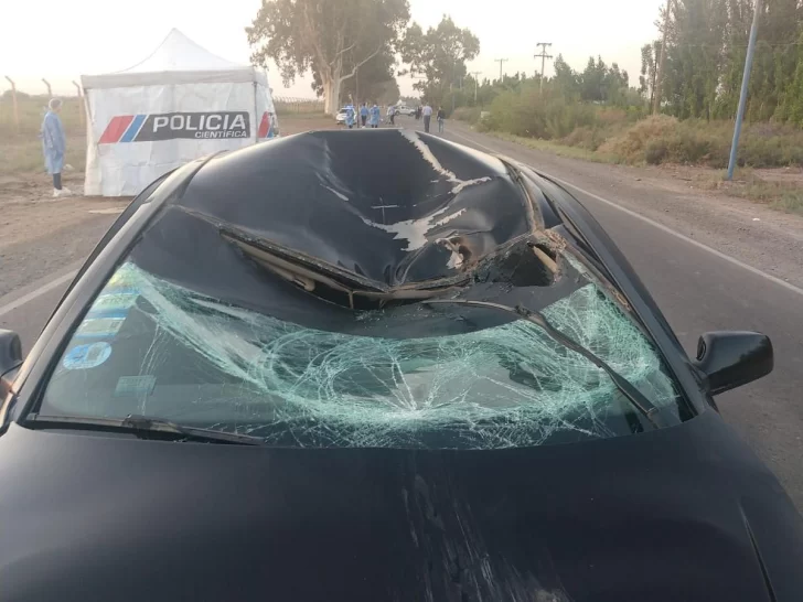 Trágico accidente en 9 de Julio: el cóctel de bebidas alcohólicas que hallaron en el auto Trágico accidente en 9 de Julio: el cóctel de bebidas alcohólicas que hallaron en el auto
