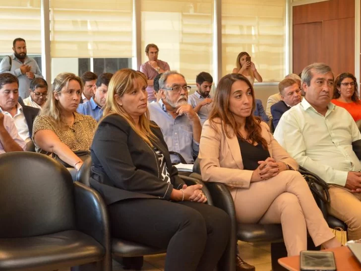 Presentaron el Protocolo Provincial de coronavirus y dengue a intendentes Presentaron el Protocolo Provincial de coronavirus y dengue a intendentes