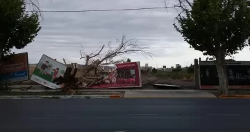 Postes y árboles caídos, así amaneció San Juan tras el ventarrón Postes y árboles caídos, así amaneció San Juan tras el ventarrón