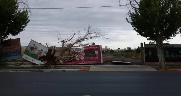 Postes y árboles caídos, así amaneció San Juan tras el ventarrón