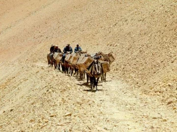 Un arriero chileno murió en plena cordillera sanjuanina Un arriero chileno murió en plena cordillera sanjuanina