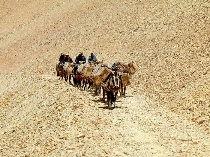 Un arriero chileno murió en plena cordillera sanjuanina Un arriero chileno murió en plena cordillera sanjuanina