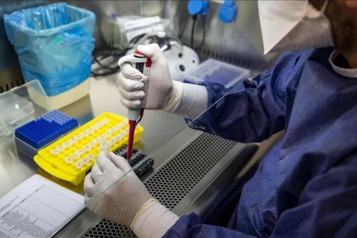 Vacuna de Oxford: pediatra argentina que trabaja en Inglaterra reveló que la protección durará 6 meses