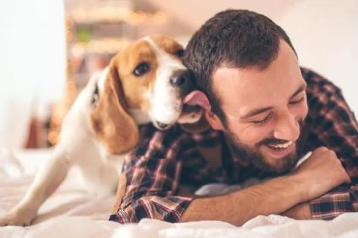 ¿Los perros pueden detectar cuando estamos tristes?