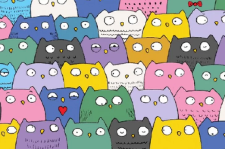 ¿Podes encontrar el gato camuflado entre todos los búhos en 10 segundos?