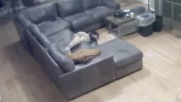 Un video revela el cruel ritual de iniciación de una fraternidad universitaria Un video revela el cruel ritual de iniciación de una fraternidad universitaria