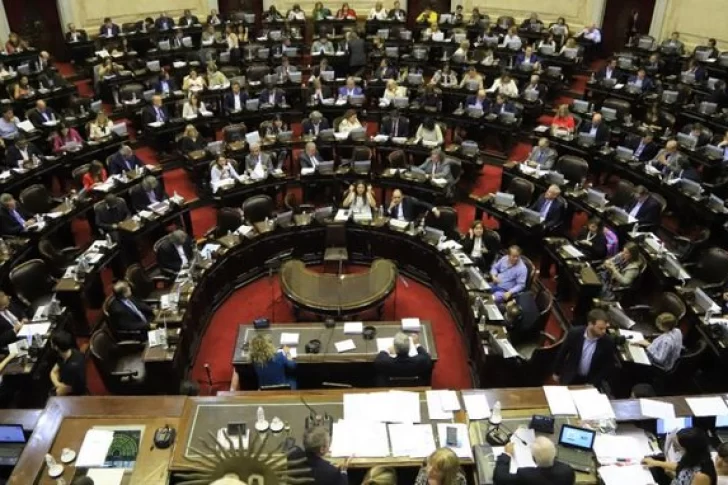 Con una sola abstención, Diputados le dio media sanción a la Emergencia Alimentaria