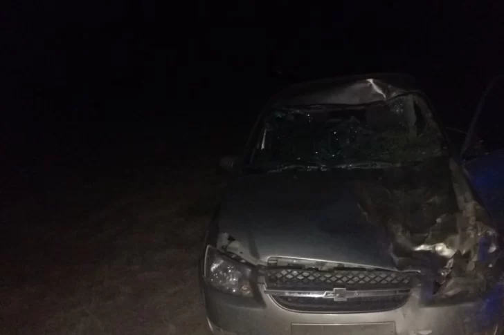 Un pocitano salvó su vida de milagro al chocar con varios animales en San Luis