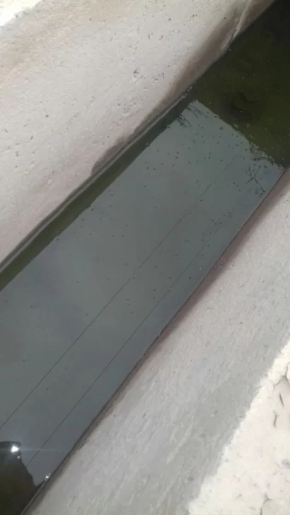 Aguas servidas en Pocito Aguas servidas en Pocito