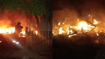 Intentaron espantar abejas con fuego y quemaron una casa y dos autos Intentaron espantar abejas con fuego y quemaron una casa y dos autos