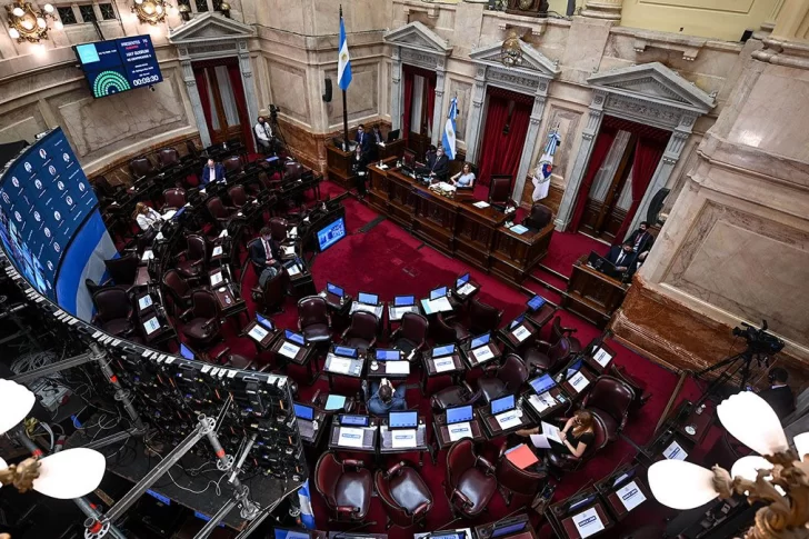 El Senado planea un tratamiento “ágil” de la legalización del aborto para votar antes de fin de año