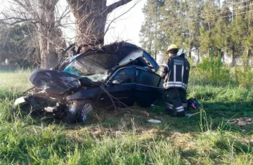 Una familia murió tras chocar contra un animal suelto en la ruta Una familia murió tras chocar contra un animal suelto en la ruta
