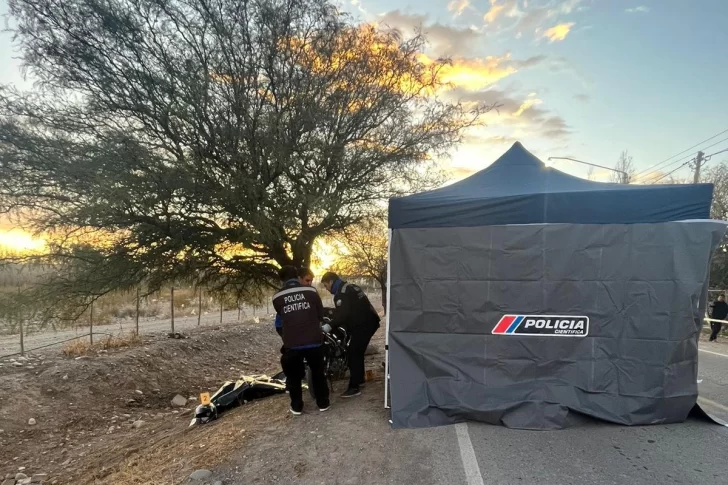 Circulaba en moto, chocó con un árbol y el fuerte impacto le provocó la muerte en el lugar