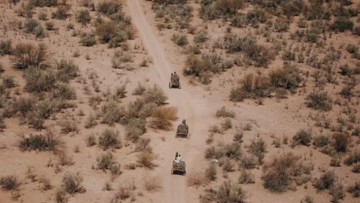 El Caso 23 y la ruta de la leña: ¿el germen del brote en Caucete? El Caso 23 y la ruta de la leña: ¿el germen del brote en Caucete?