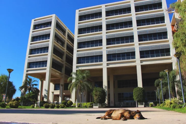 La mayor contaminación del aire en San Juan se da entre las 7 y las 13 y desde las 18 hasta las 2 La mayor contaminación del aire en San Juan se da entre las 7 y las 13 y desde las 18 hasta las 2