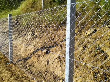 Un hombre usó a su hijo de 8 años para intentar robar un alambrado