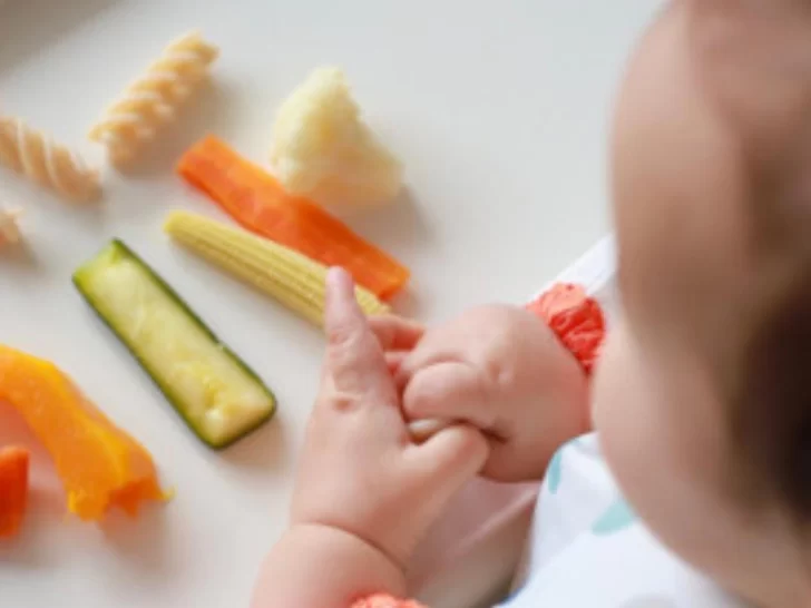 Las primeras comidas de los bebés, (casi) idénticas a las del resto de la familia Las primeras comidas de los bebés, (casi) idénticas a las del resto de la familia