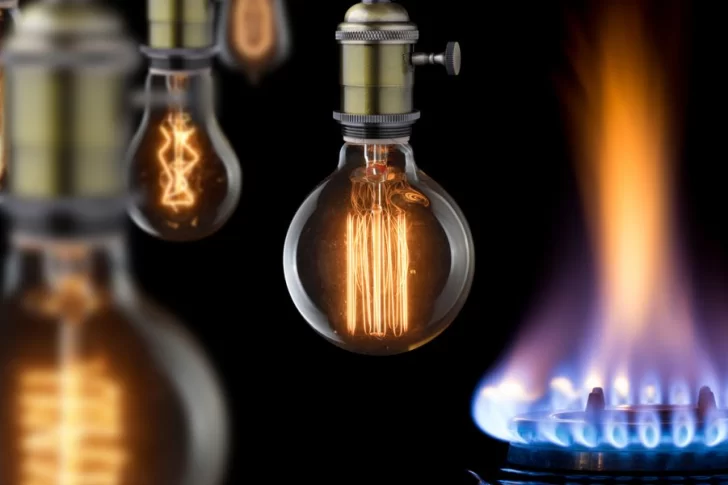 Subsidios de luz y gas: cómo corregir errores al llenar el formulario