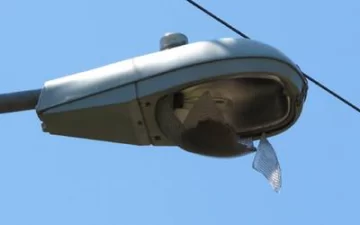 Le sacaron las chapas patentes al auto y robaron lámparas del alumbrado público Le sacaron las chapas patentes al auto y robaron lámparas del alumbrado público