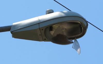 Le sacaron las chapas patentes al auto y robaron lámparas del alumbrado público Le sacaron las chapas patentes al auto y robaron lámparas del alumbrado público