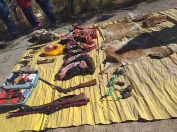 Luego de una serie de allanamientos detuvieron a dos hombres que cazaban guanacos