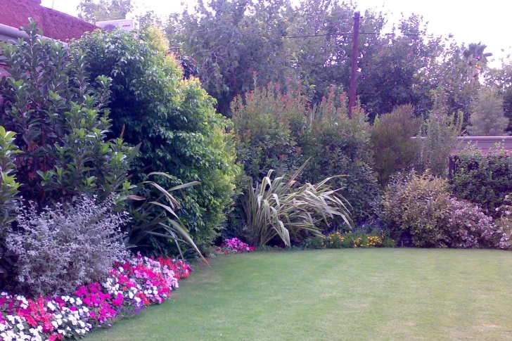 El sueño del espacio verde