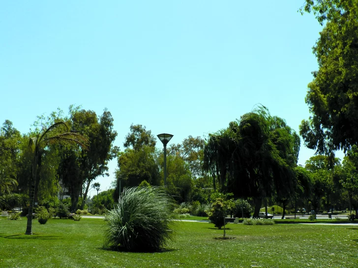 Árboles para alimentar el oasis Árboles para alimentar el oasis