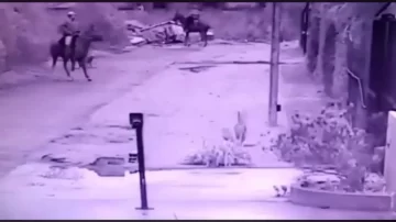 Video: dos delincuentes a caballo le robaron a un hombre que salió a pasear al perro Video: dos delincuentes a caballo le robaron a un hombre que salió a pasear al perro