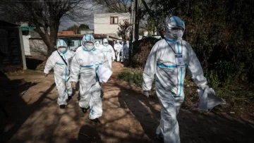 En un día, Argentina registró 29 muertes y 826 nuevos infectados En un día, Argentina registró 29 muertes y 826 nuevos infectados