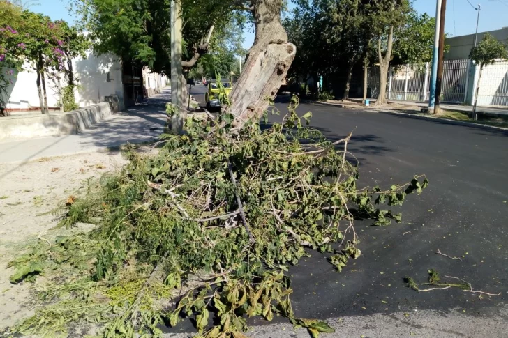 [FOTOS] La ola de calor funde el asfalto y deforma calles en EEUU y Canadá