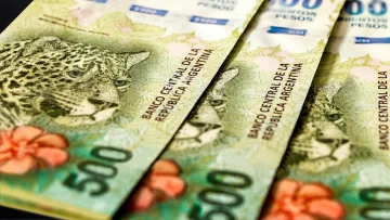 Anses: dónde podés consultar si cobrás el ATP y en qué fecha