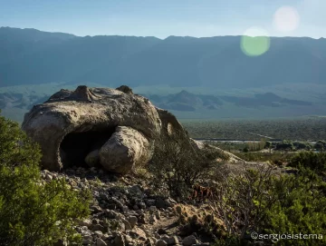 Fin del misterio: la ‘ballena’ es una obra de arte hiperrealista Fin del misterio: la ‘ballena’ es una obra de arte hiperrealista
