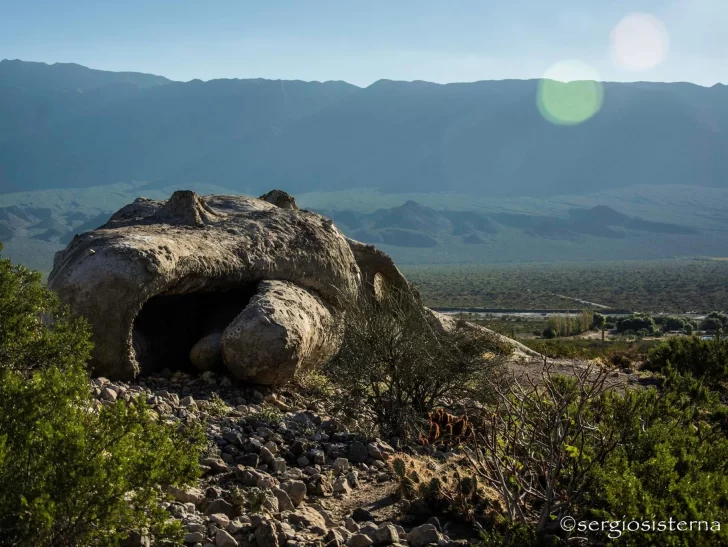 Fin del misterio: la ‘ballena’ es una obra de arte hiperrealista Fin del misterio: la ‘ballena’ es una obra de arte hiperrealista