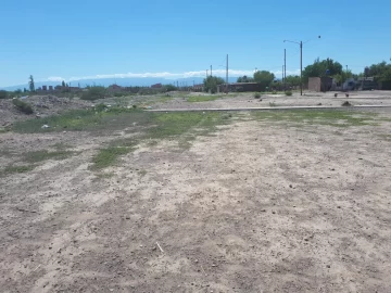 Robo piraña en una parada de colectivos: entre cuatro le sustrajeron de todo a una mujer Robo piraña en una parada de colectivos: entre cuatro le sustrajeron de todo a una mujer
