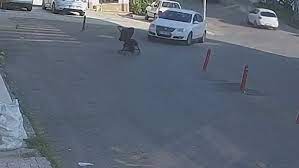 Dejó el cochecito con su bebé en la calle y cayó por un barranco Dejó el cochecito con su bebé en la calle y cayó por un barranco