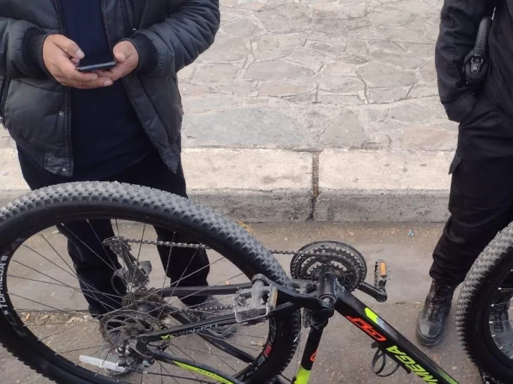 Le robaron la bicicleta y la encontró en venta en las redes: atraparon a menores de edad