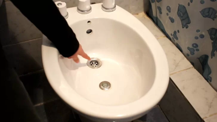 Armó el mapa de los países en los que se usa bidet y se hizo viral