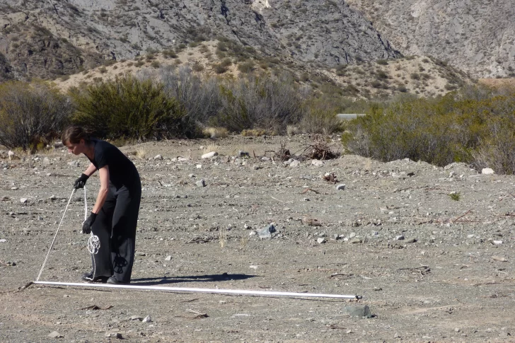 Nuevos universos en el Franklin Rawson