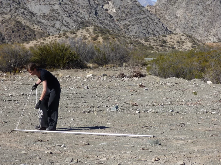 Nuevos universos en el Franklin Rawson Nuevos universos en el Franklin Rawson