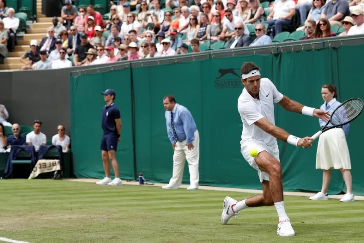 Cómo sería el camino que debería recorrer Del Potro en Wimbledon