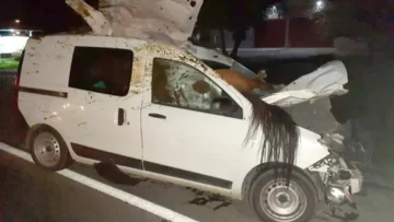 Impactante choque en Chubut: un caballo quedó incrustado en una camioneta Impactante choque en Chubut: un caballo quedó incrustado en una camioneta