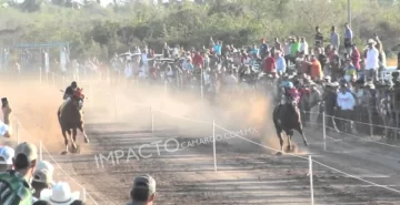 Murieron dos caballos luego de una carrera e investigan las causas Murieron dos caballos luego de una carrera e investigan las causas