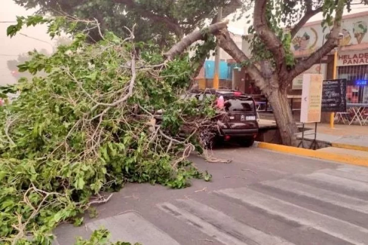 Primer relevamiento sobre los daños ocasionados por el fuerte viento Sur
