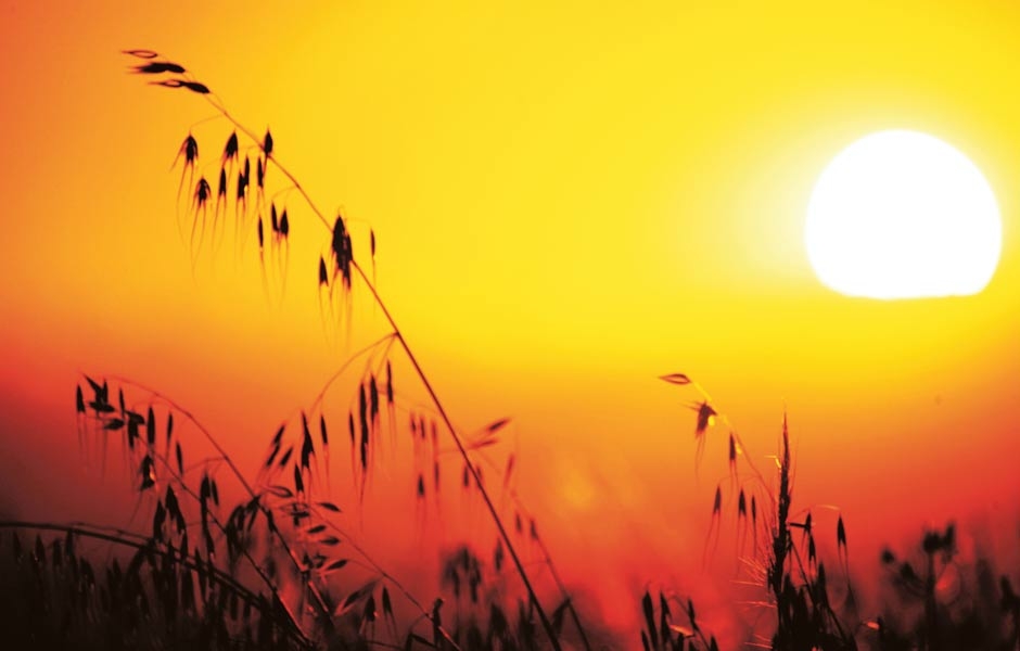 Martes con mucho calor y Sol pleno en San Juan Martes con mucho calor y Sol pleno en San Juan