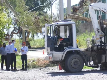 Quedó en libertad el camionero que protagonizó el accidente fatal frente a la fábrica Cattorini Quedó en libertad el camionero que protagonizó el accidente fatal frente a la fábrica Cattorini