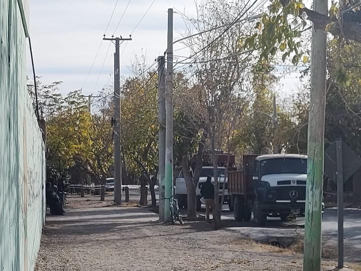 Identificaron a la ciclista que murió tras ser embestida por un camión en Rivadavia Identificaron a la ciclista que murió tras ser embestida por un camión en Rivadavia