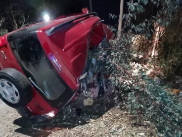 Un joven murió al volcar en su camioneta y chocar contra un árbol