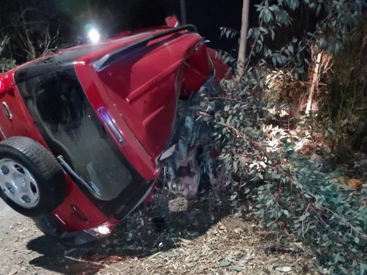 Un joven murió al volcar en su camioneta y chocar contra un árbol